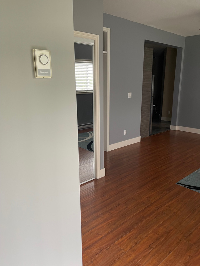 Large 1 bedroom legal suite available immediately in Summerland Long