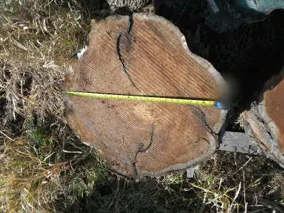 Live edge cookies, View more