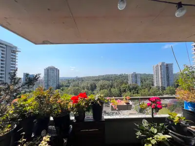 Two bedroom apartment rental