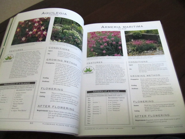 FLOWERING PLANTS for YOUR GARDEN in Non-fiction in Ottawa - Image 3