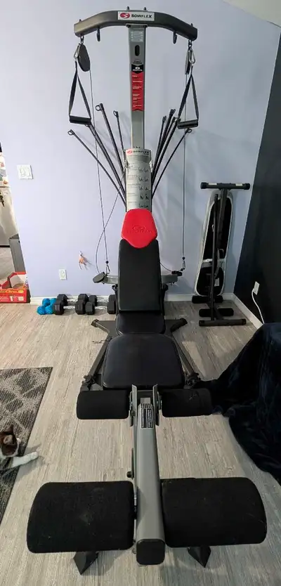 Bowflex Blaze, View more