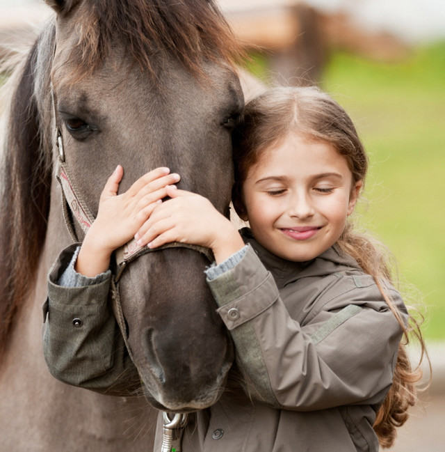 Mentor and Me in Equestrian & Livestock Accessories in Belleville