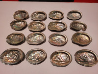 Lot of 16 Abalone Shells