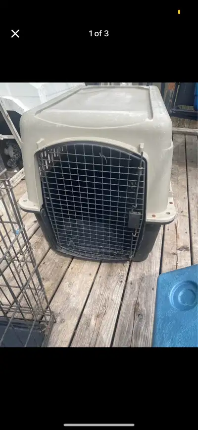 Grreal dog crate Crack on top 26 high 25 long 17 wide Gave it a quick wash Located in the pier