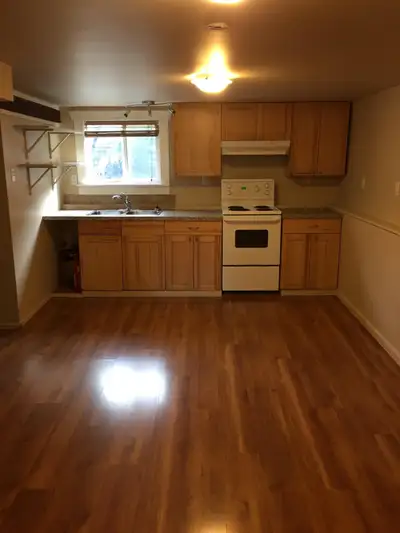 Our garden level 1 bedroom basement suite is located close to the Fraser/King Edward Street area. It...