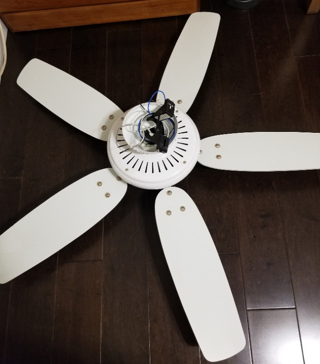 ceiling fan light with white wooden blades in Indoor Lighting & Fans in Sunshine Coast - Image 2