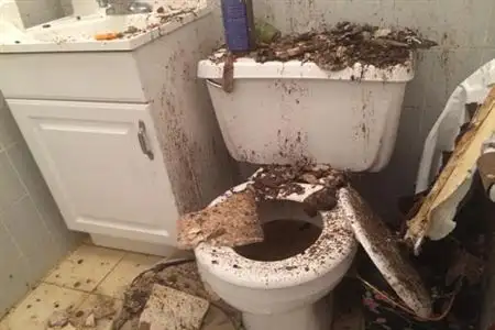 HANDYMAN noFIXED noCHARGE ...VERY SIMPLE OSHAWA 24/7 EMERGENCIES64750348124802120