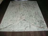 Area Rugs (5 ft x 7 ft)