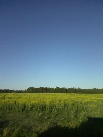 Lot 1 = 23.64799 acres listed for $189,400 plus GST plus severance costs SOLD Lot 2 = 13.29427 acres...