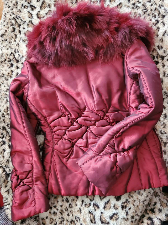 Luxurious coat  dans Femmes - Sacs et portefeuilles  à Ville de Montréal - Image 2