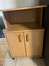 Storage Cabinet for sale 