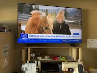 Two Men to move TV, View more