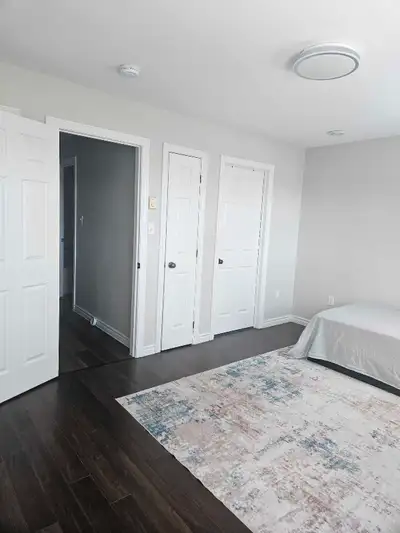 Roommate wanted