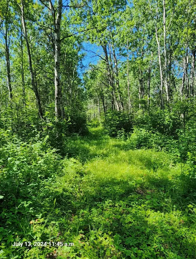 House near turtle lake in Land for Sale in Prince Albert - Image 2