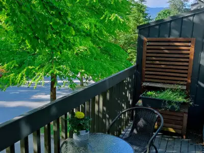 Experience 1,500 sq ft of modern comfort in this 3 bed, 1.5 bath pet-friendly townhouse, freshly ren...