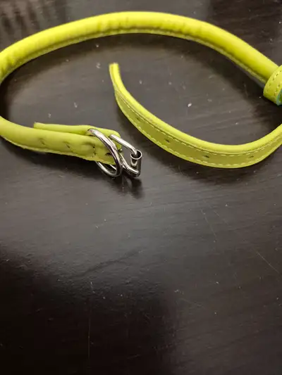 Brand New Dog Collar, View more