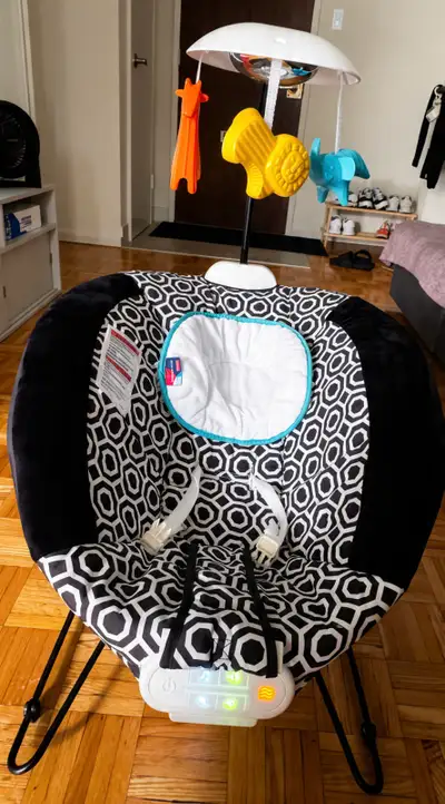Baby Bouncer, View more