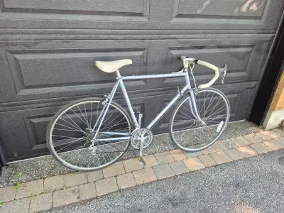 Bianchi Brava large road bicycle (23" frame), View more