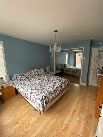grand 5 et demi très éclairé 2 chambres, 1 salle à diner, 1 cuisine, 1 salon Logement du milieu dans...