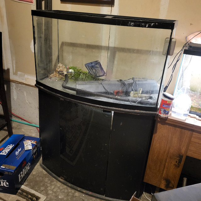 45 Gallon Bow Front Fish Tank and Stand in Accessories in Kitchener / Waterloo - Image 3