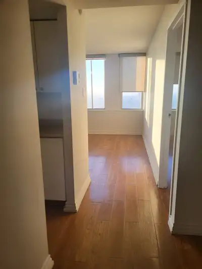 Jasper Ave 市中心黄金地段一室一厅公寓转租
