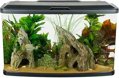 Aquarium, View more