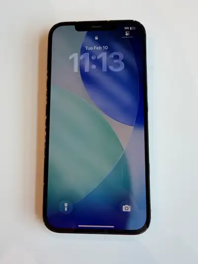 iPhone 12 Pro Max 256gb , View more