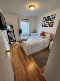 Lots of Rooms Available for Students - Multiple Homes - June 1st