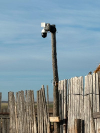 Calving or security cameras for sale