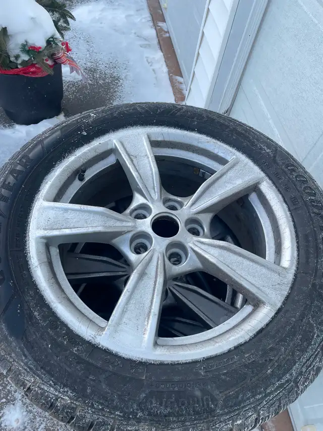 17 inch Winter tires/rims in Tires & Rims in Truro - Image 2
