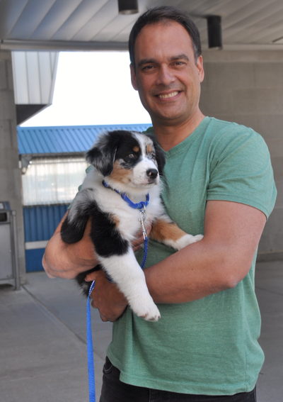 Brampton Dog and Puppy Trainer, View more