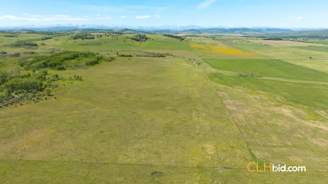 Land For Sale Diamond Valley, Alberta - CLHbid.com62863778970882121