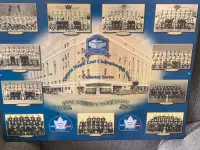 Toronto Maple Leaf Championship Years Wall Display