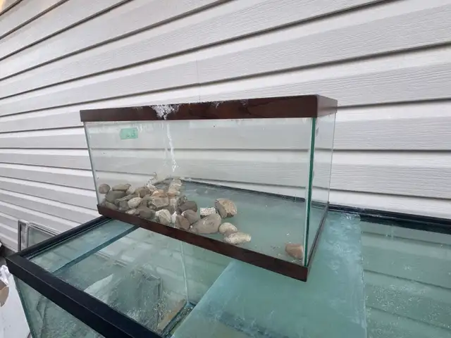 3 Aquariums/fish tanks - pending pickup | Hobbies & Crafts | Calgary ...