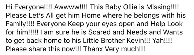 Beautiful Lost Kitten— Needs to Get Home in Lost & Found in Edmonton - Image 4