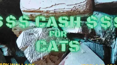 Buying catalytic converters, dpf systems, and loose material (guts) throughout Nova Scotia! Competit...