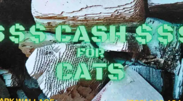 $$$ Cash 4 Cats $$$ in Engine & Engine Parts in Dartmouth - Image 2