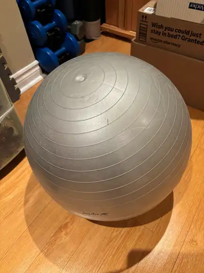 exercise/ physio ball, View more