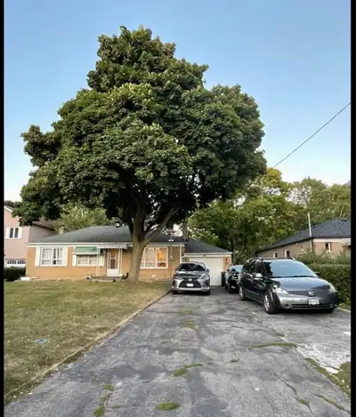 For Rent: 3-Bed Detached Bungalow