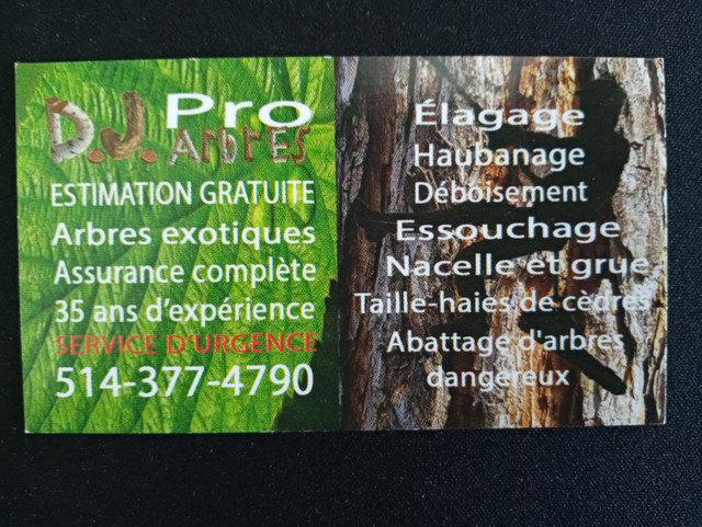 ÉMONDAGE D.J. PRO ARBRE - Laval/Rive Nord dans Entretien paysager  à Laval/Rive Nord