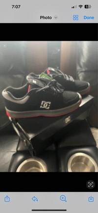 Dc men’s shoes 