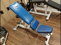 Hammer Strength FWADJ Adjustable bench 