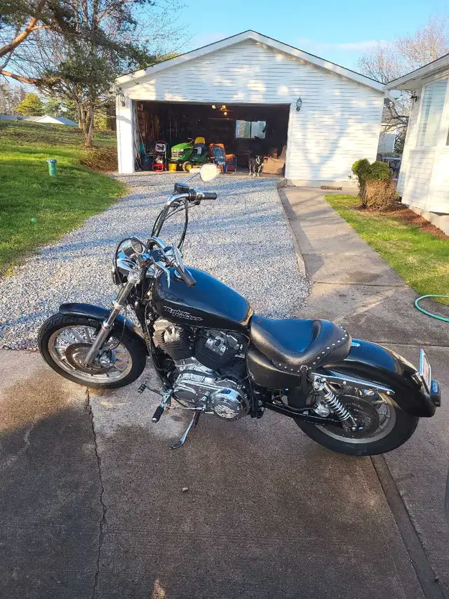 2006 Harley-Davidson sportster  low km in Street, Cruisers & Choppers in Saint John - Image 4