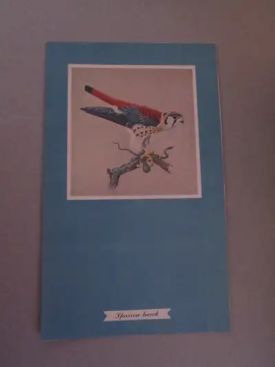 F. Lansdowne print - Sparrow Hawk (6 1/4 x 10 1/4 unframed), View more