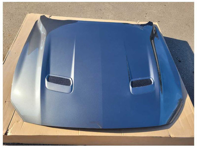 new takeoff hood for 18-22 mustang in Auto Body Parts in Cole Harbour
