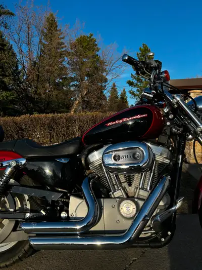 Gorgeous maroon and black 883 with only 2770 kms (not an error). Vance & Hines Short Shots and Arlen...