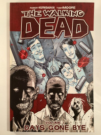 The Walking Dead, Deadman, Preacher Comic Books ( 5 ) 