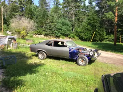 1972 Nova, owner since 1999. Project car. The engine runs( took all the gas out of the tank when i p...