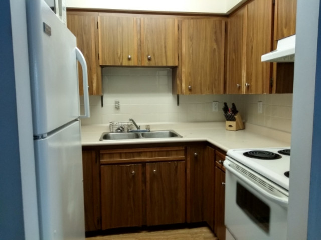 Shared room in 3 bedroom duplex - Kitsilano Vancouver in Room Rentals & Roommates in Downtown-West End - Image 3