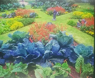 DO YOU NEED ORGANIC GARDENING HELP, PERENNIAL ADVICE... 20+ Years Experience Yard clean-up, raking,...